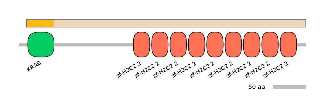 HsaINT0186265-EXC