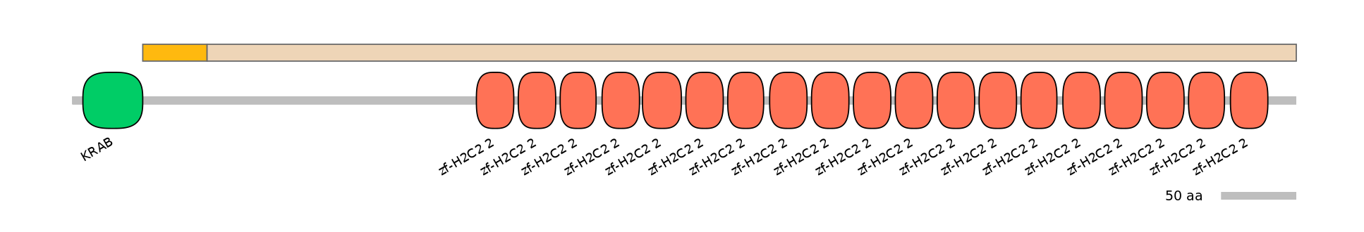 HsaINT0186283-EXC