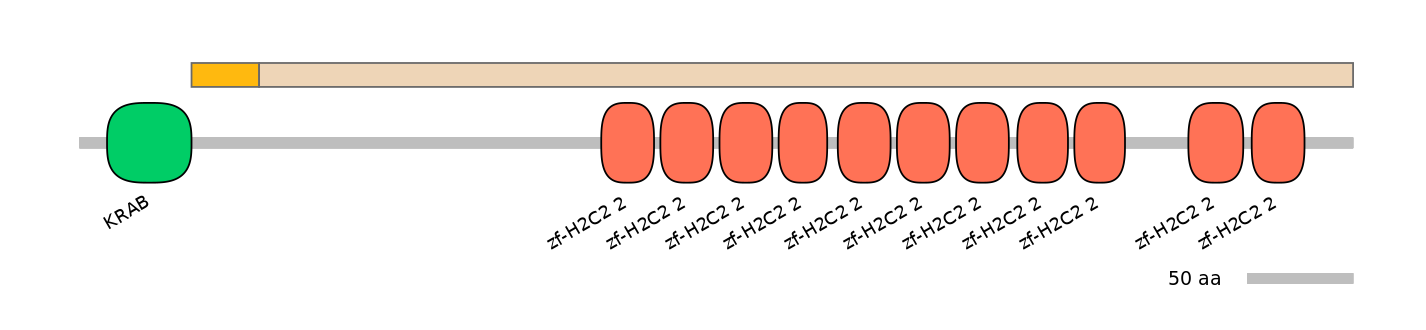 HsaINT0186296-EXC