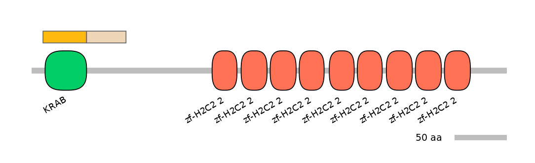 HsaINT0186380-EXC