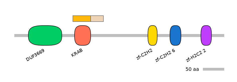 HsaINT0186450-EXC