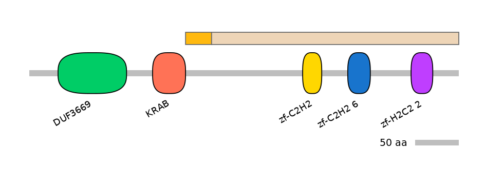 HsaINT0186451-EXC