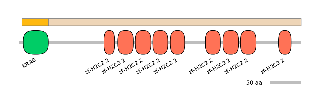 HsaINT0186485-EXC