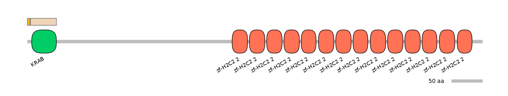 HsaINT0186537-EXC