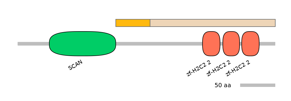HsaINT0186576-EXC