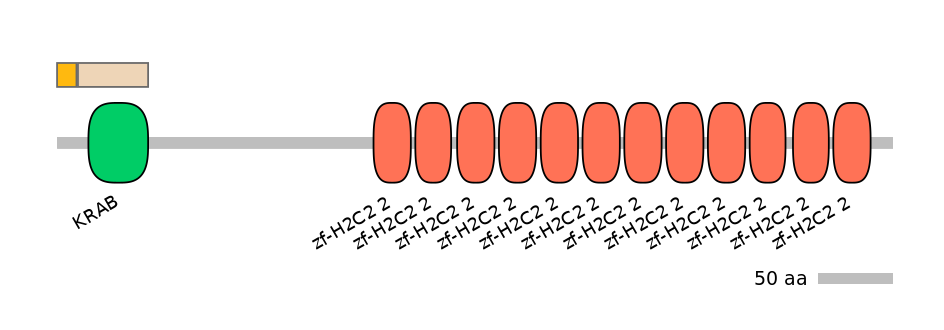 HsaINT0186588-EXC