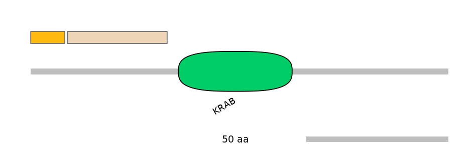 HsaINT0186591-EXC