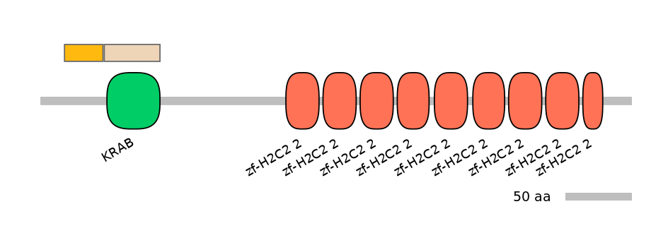 HsaINT0186800-EXC