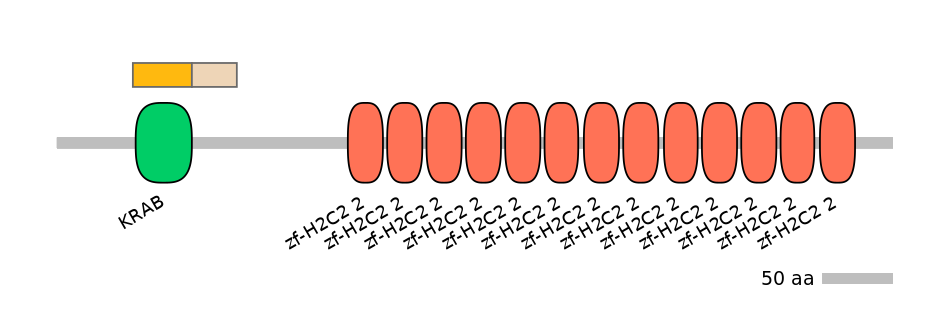 HsaINT0186830-EXC