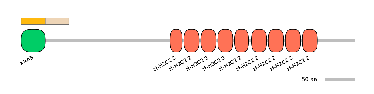 HsaINT0186864-EXC