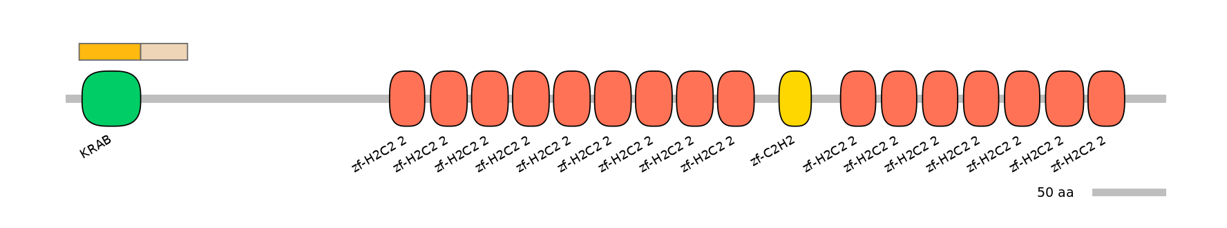 HsaINT0186946-EXC