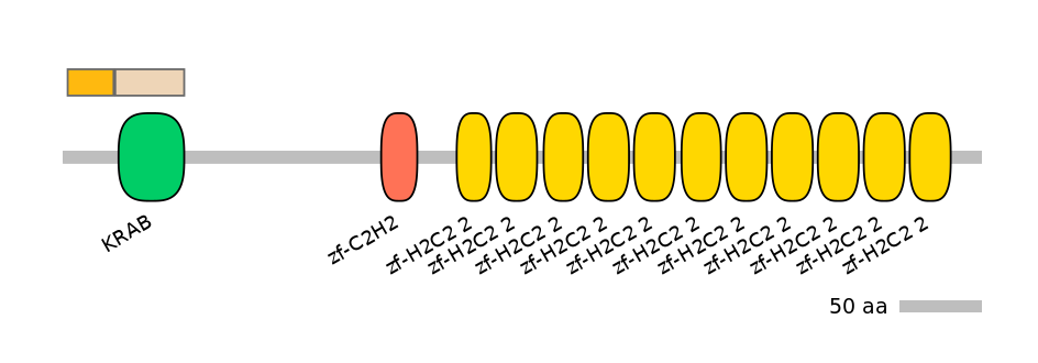 HsaINT0186958-EXC