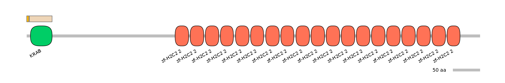 HsaINT0186989-EXC