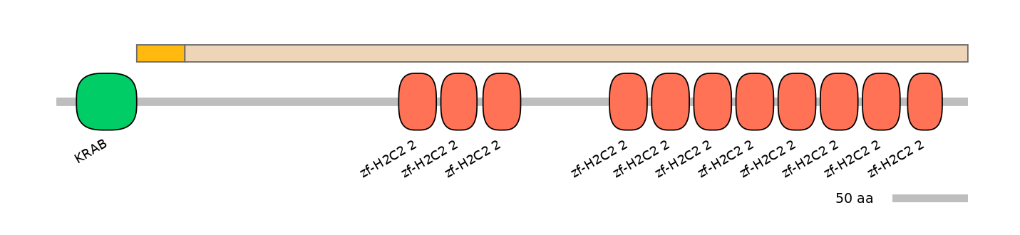HsaINT0187001-EXC