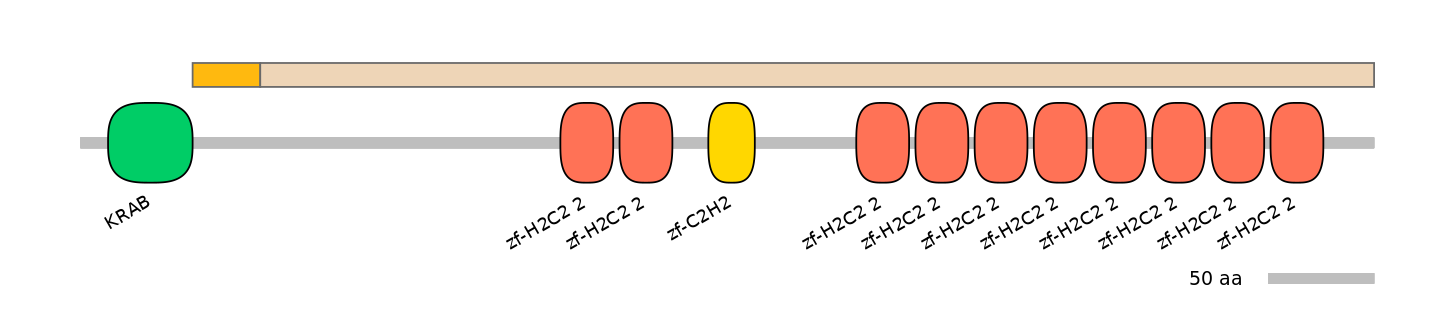 HsaINT0187005-EXC