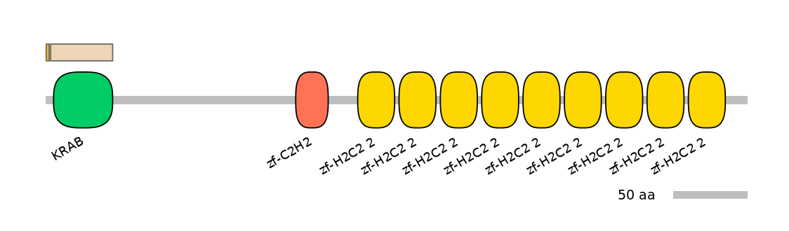 HsaINT0187059-EXC