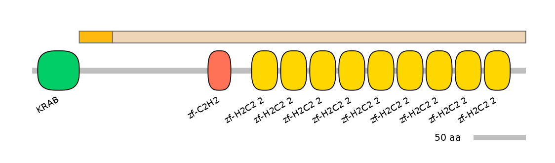 HsaINT0187061-EXC
