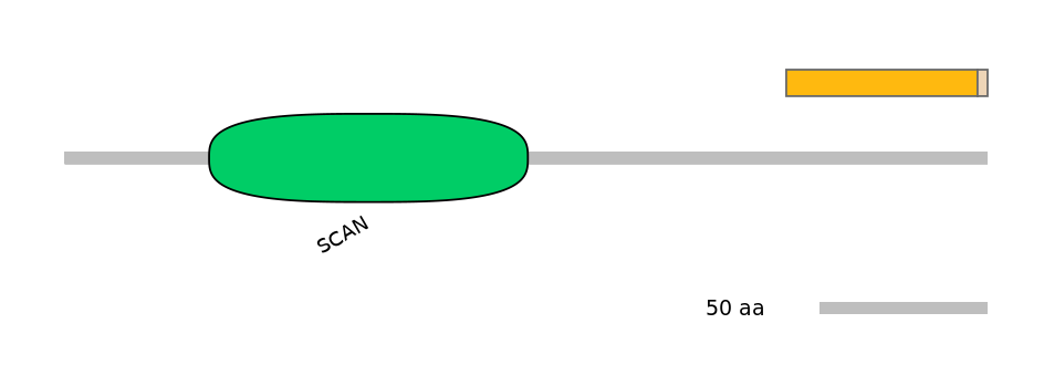 HsaINT0187120-EXC