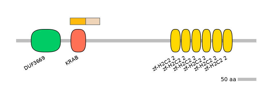 HsaINT0187124-EXC