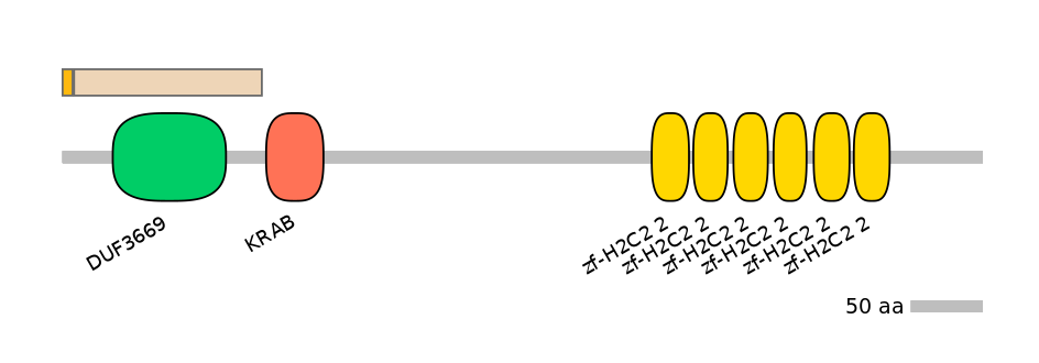 HsaINT0187127-EXC