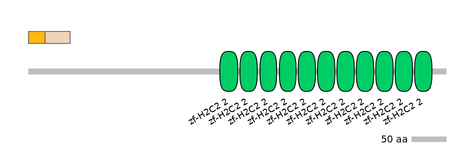 HsaINT0187167-EXC