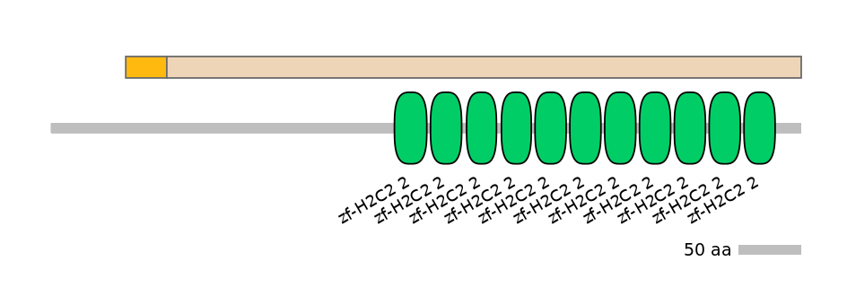HsaINT0187169-EXC