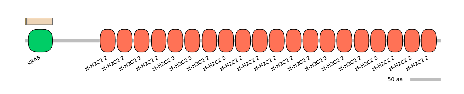 HsaINT0187187-EXC