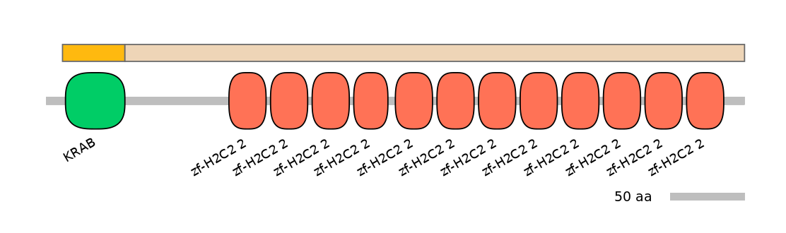 HsaINT0187235-EXC