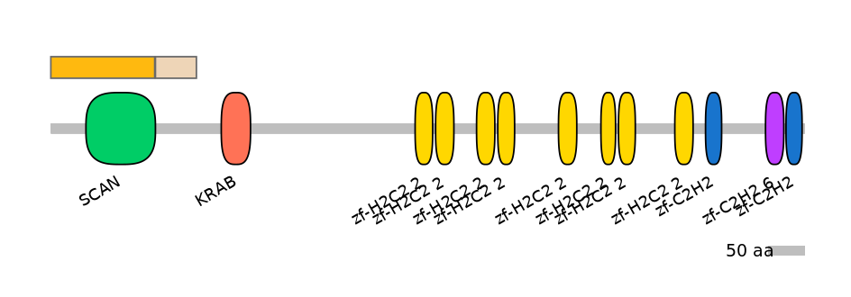 HsaINT0187279-EXC