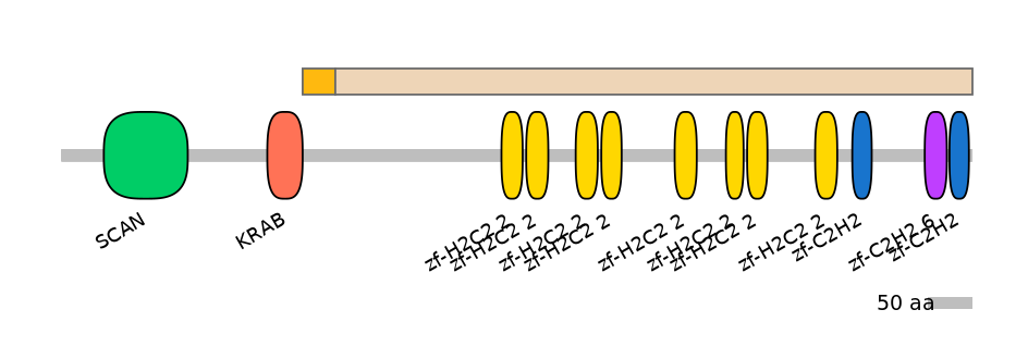 HsaINT0187283-EXC