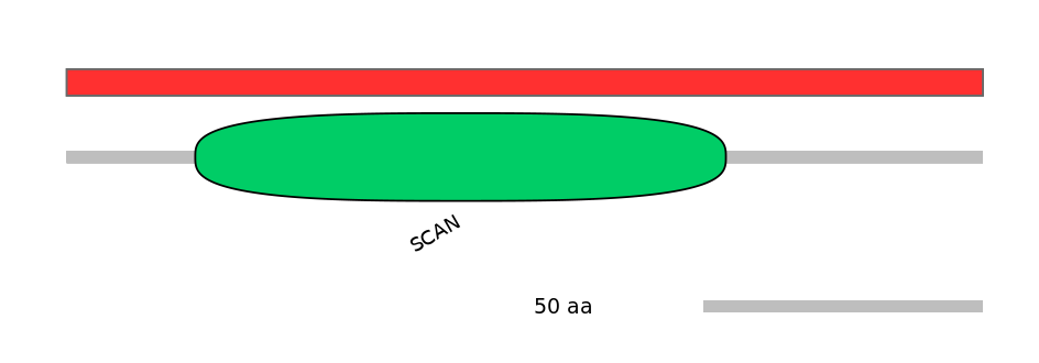 HsaINT0187291-INC