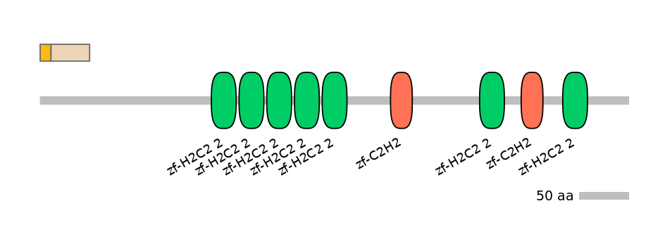 HsaINT0187341-EXC