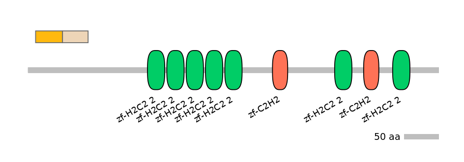 HsaINT0187342-EXC