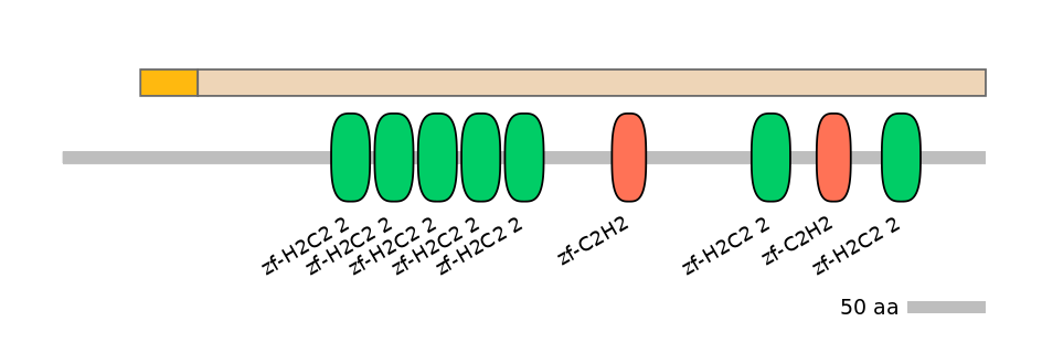 HsaINT0187343-EXC