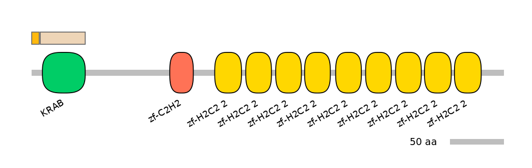HsaINT0187383-EXC