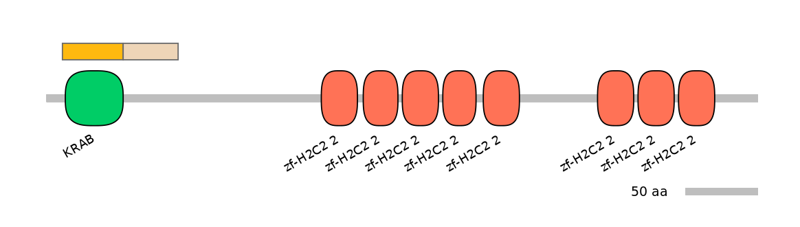 HsaINT0187500-EXC
