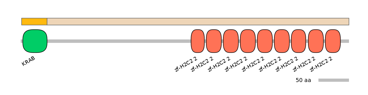 HsaINT0187510-EXC