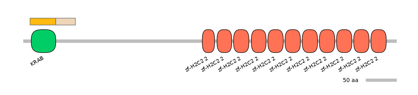 HsaINT0187531-EXC