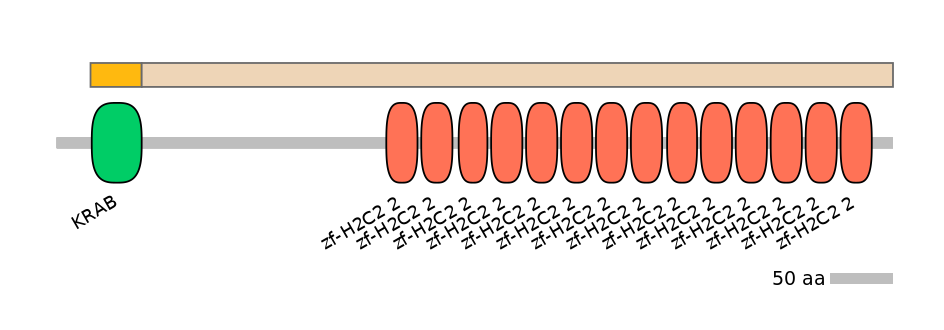 HsaINT0187619-EXC