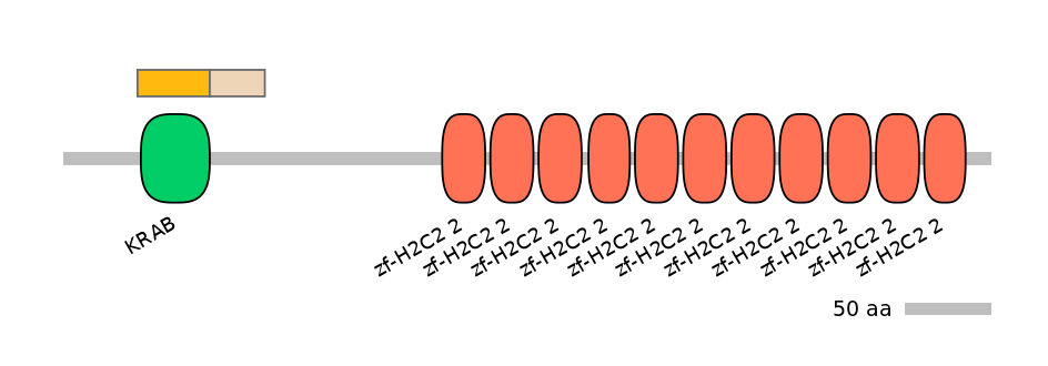 HsaINT0187674-EXC