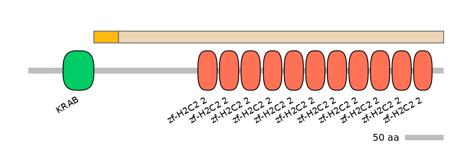 HsaINT0187675-EXC