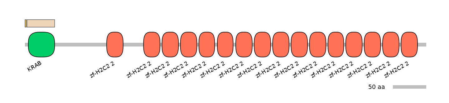 HsaINT0187702-EXC