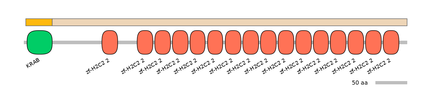 HsaINT0187703-EXC