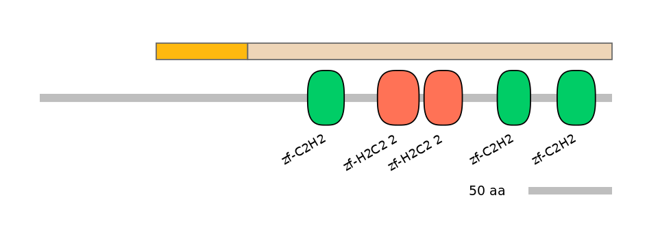 HsaINT0187720-EXC