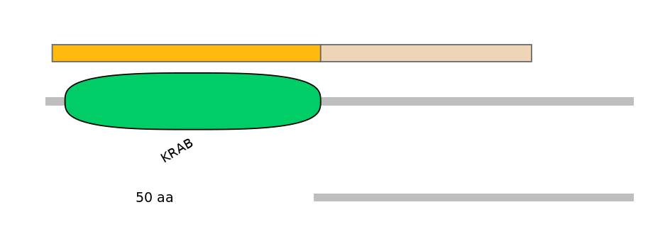 HsaINT0187784-EXC