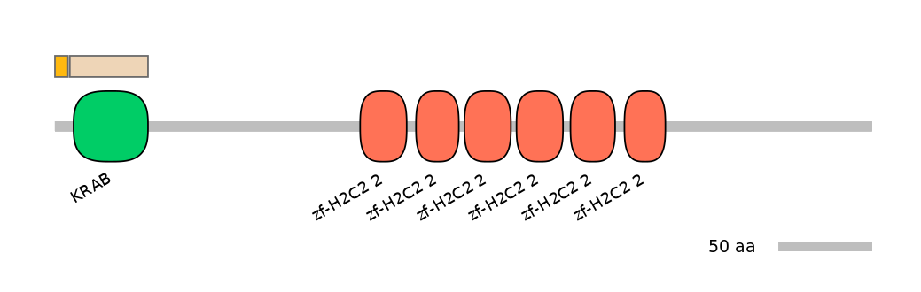 HsaINT0187905-EXC