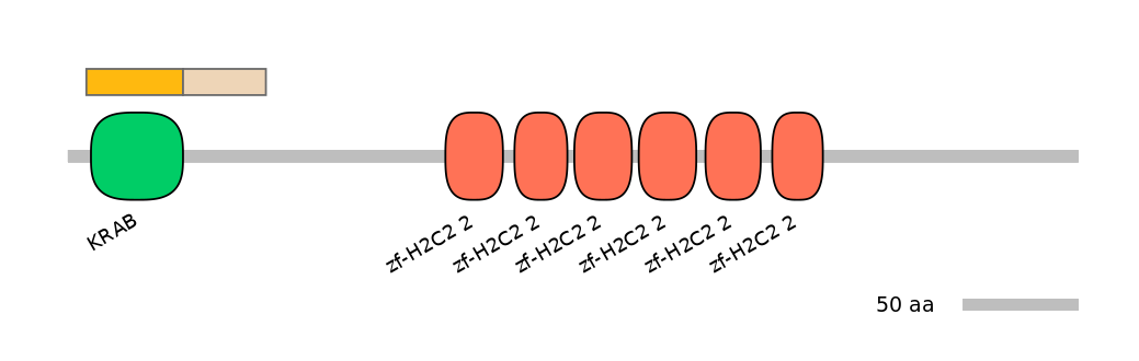 HsaINT0187906-EXC