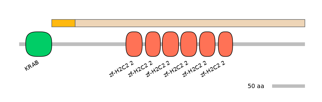 HsaINT0187907-EXC