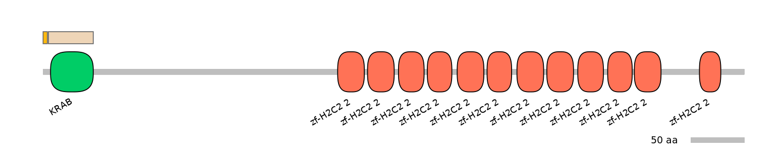 HsaINT0187936-EXC