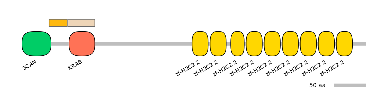 HsaINT0187984-EXC